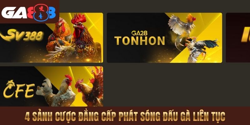 4 sảnh cược đẳng cấp phát sóng đấu gà liên tục