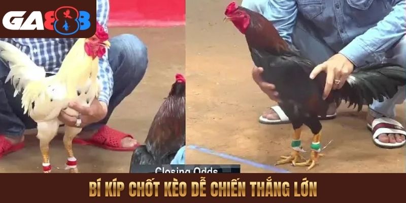 Bí kíp chốt kèo dễ chiến thắng lớn
