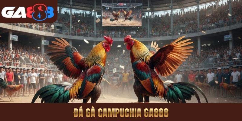 Đá gà Campuchia GA888