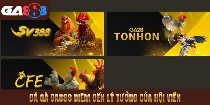 Đá gà GA888 điểm đến lý tưởng của hội viên