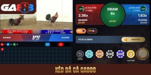 Kèo đá gà GA888