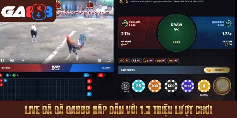 Live đá gà GA888 hấp dẫn với 1.3 triệu lượt chơi