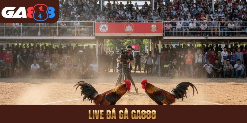 Live đá gà GA888