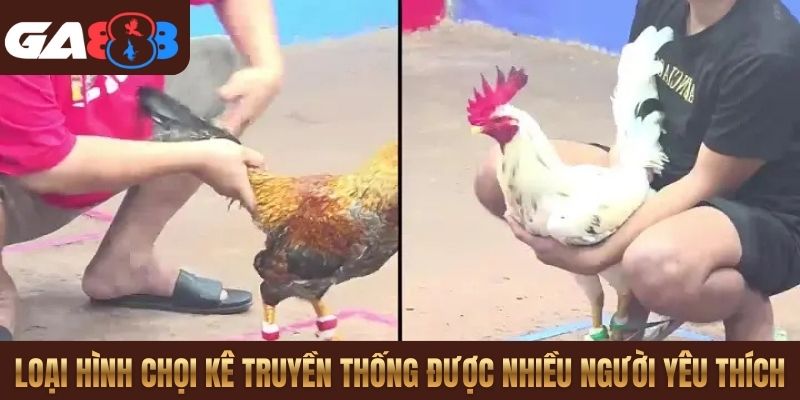 Loại hình chọi kê truyền thống được nhiều người yêu thích