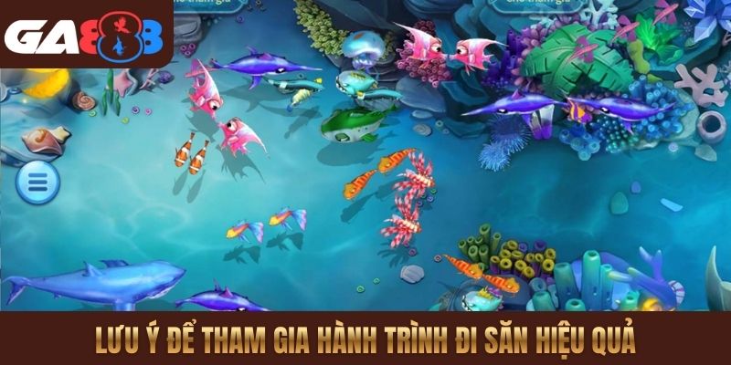 Lưu ý để tham gia hành trình đi săn hiệu quả