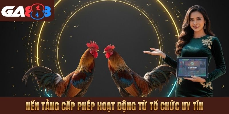 Nền tảng cấp phép hoạt động từ tổ chức uy tín