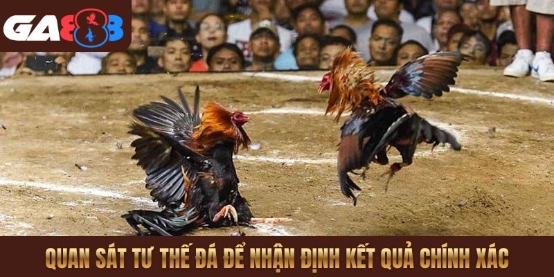 Quan sát tư thế đá để nhận định kết quả chính xác